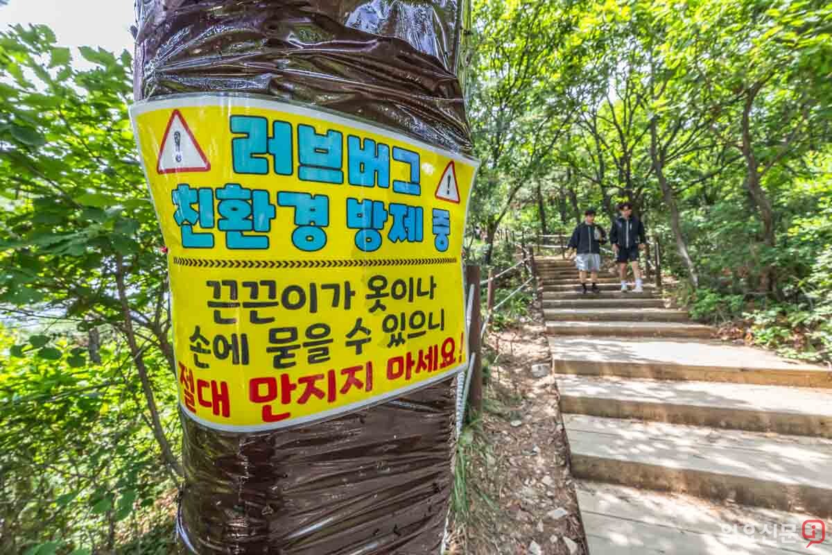 백련산 등산로에 끈끈이 트랩 주의 안내문이 붙어 있다. 사진=최준필 기자