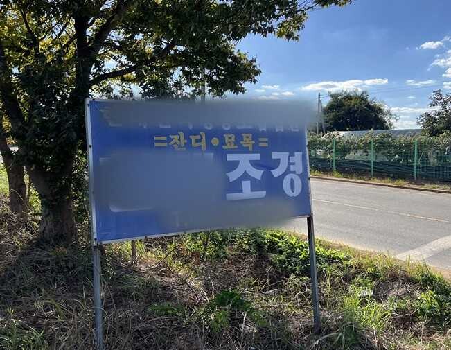 보상금을 노린 나무 심기가 의심되더라도 마땅히 조치하기 어렵다. 사업인정고시 이전에 심은 수목은 현행법상 보상 대상에서 미리 제외하기 어렵기 때문이다. 사진=한승구 기자