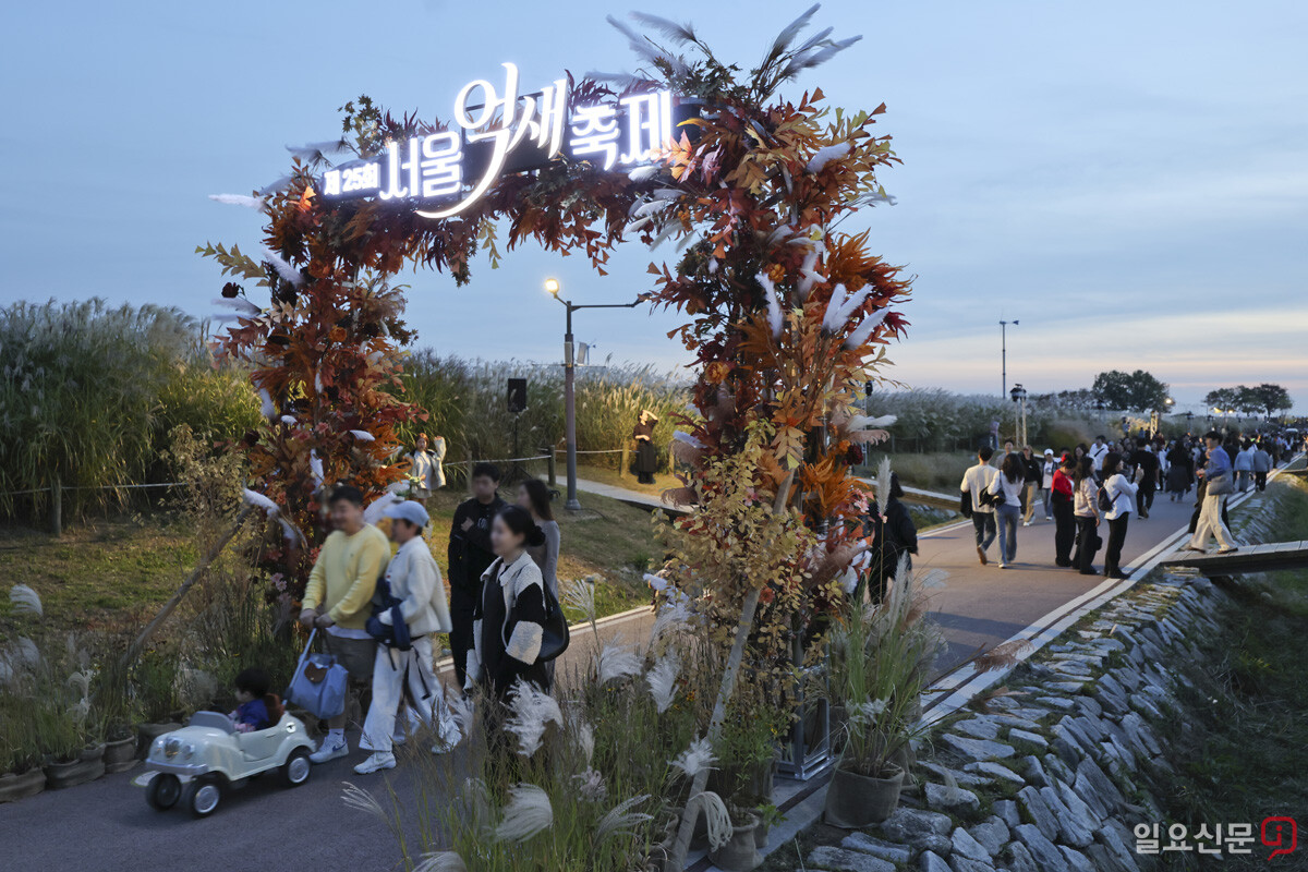 서울억새축제를 많은 시민들이 찾고 있다. 사진=박정훈 기자