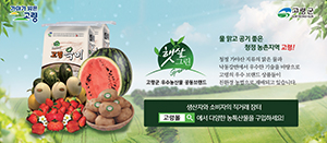 고령군청