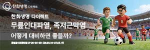 한화생명